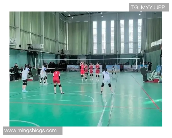 排球盛宴：深入了解西安排球队的实力与魅力