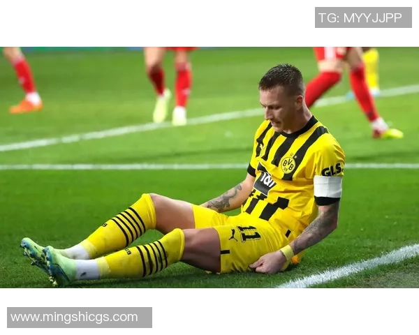 搞笑足球明星罗伊斯的趣事与精彩瞬间大揭秘